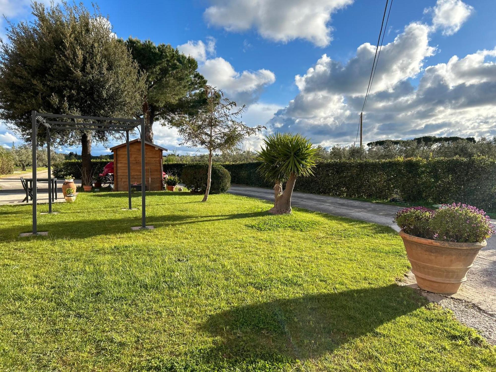 Agriturismo Da Michele E Carmela Di Voli Patrizia Donoratico Exterior foto